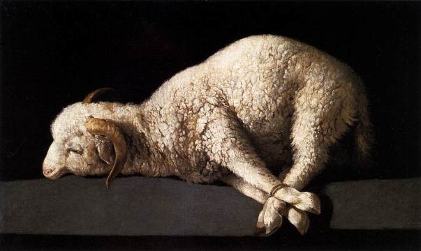 L’agnello di Dio di Francisco Zurbarán (1598-1664). Madrid, Museo del Prado.