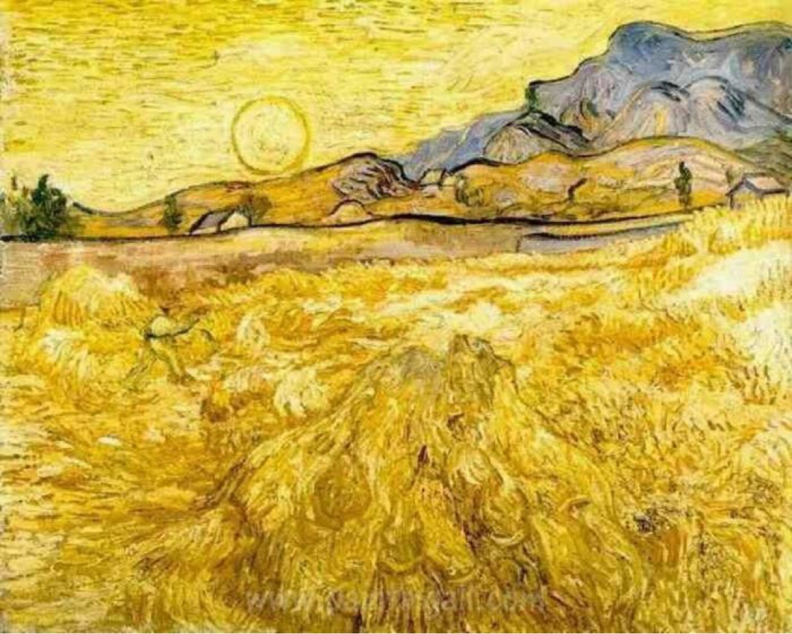 Vincent Van Gogh, Campo di grano